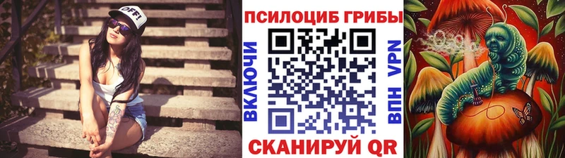 продажа наркотиков  Чегем  блэк спрут   Псилоцибиновые грибы прущие грибы 